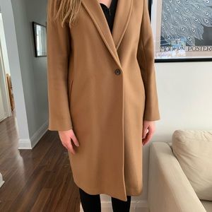 Aritzia Babaton Stedman Coat Oversize